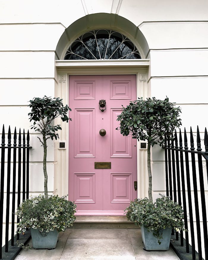 Pink door with decorative facade and potted plants in London street scene.